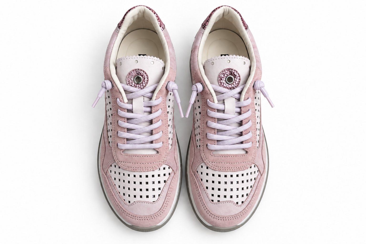 A7EK012 Rose
