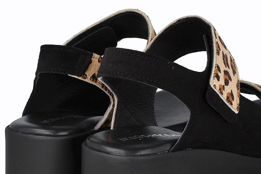 B6EL134 NEGRO