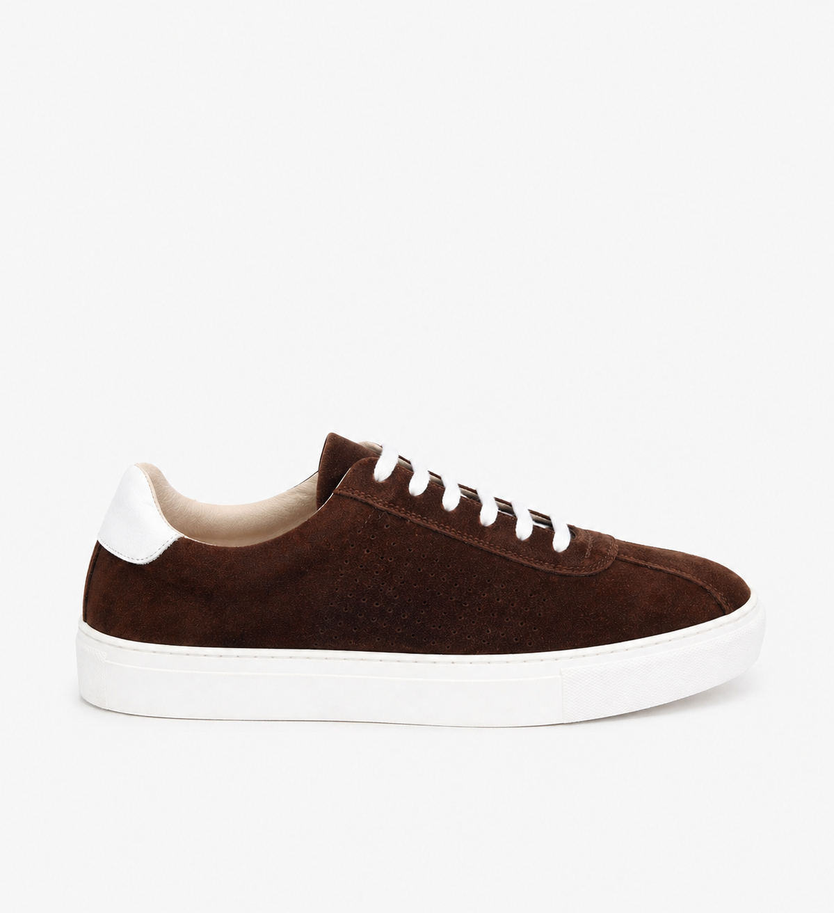 H1ET014 Testa