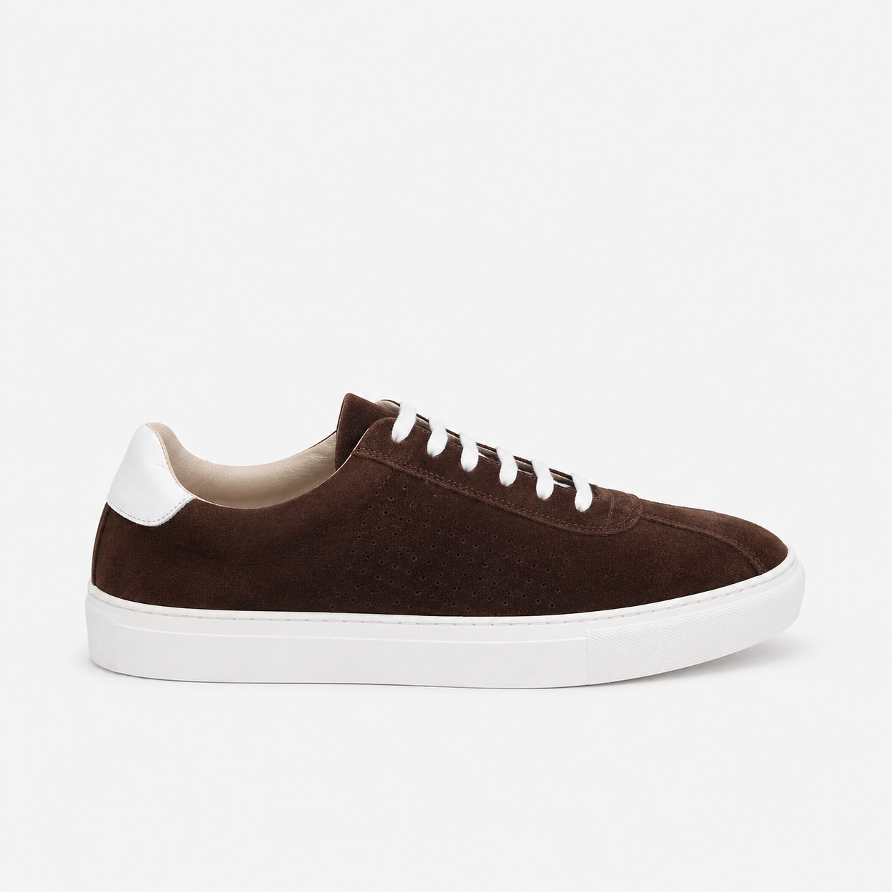 H1ET014 Testa